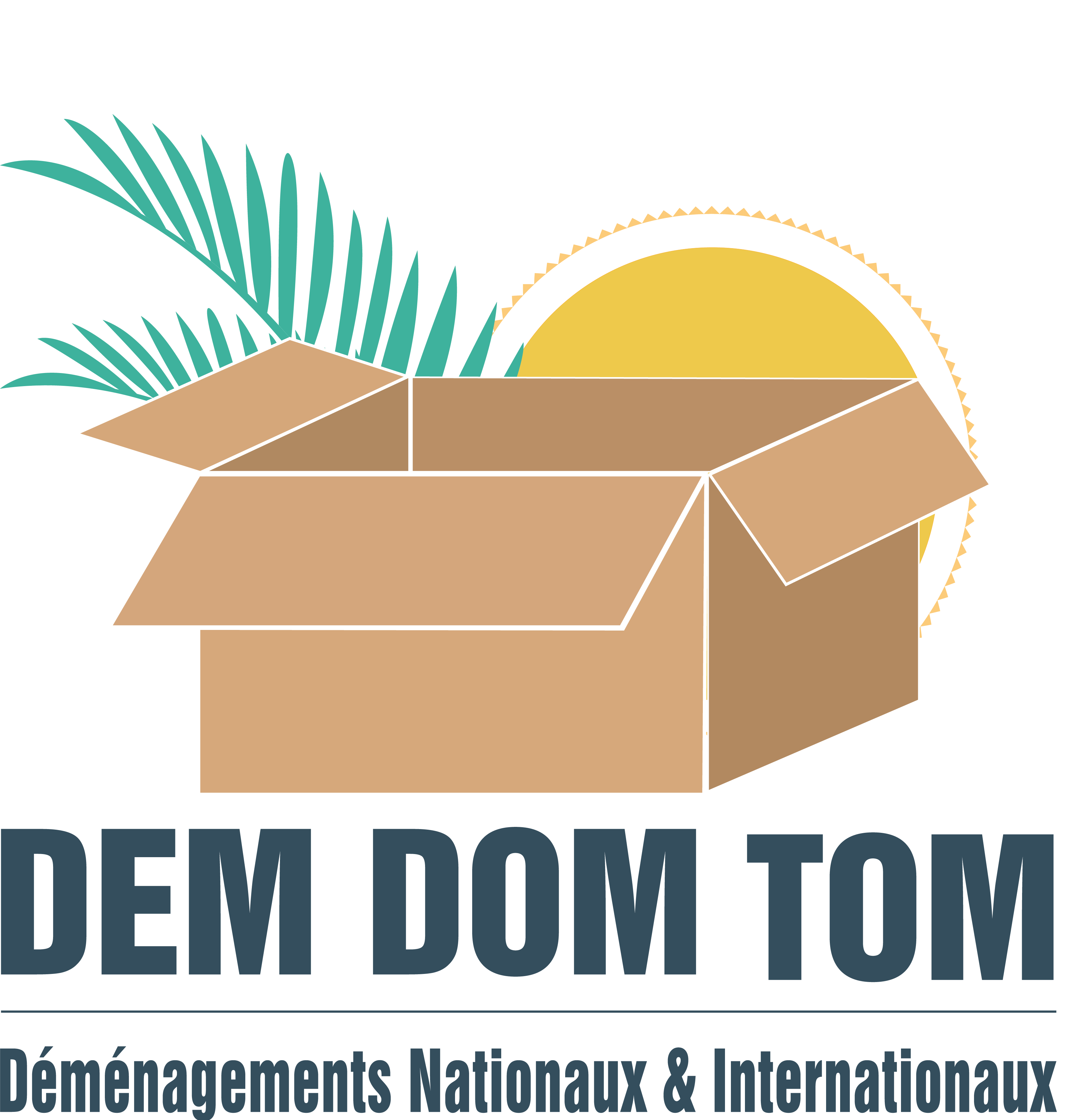 Dem Dom Tom Logo