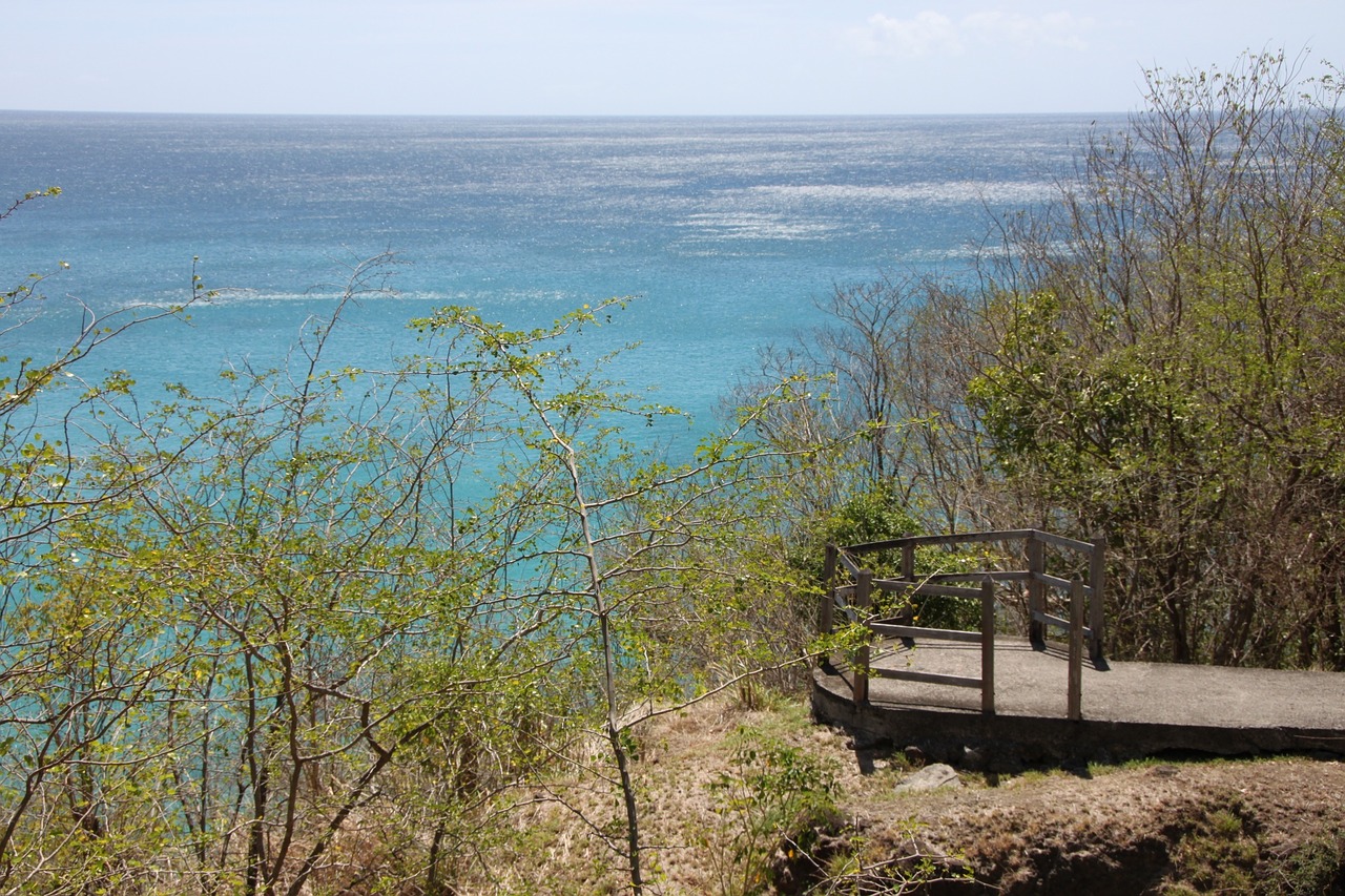 Dem Dom Tom vous  déménage à Guadeloupe